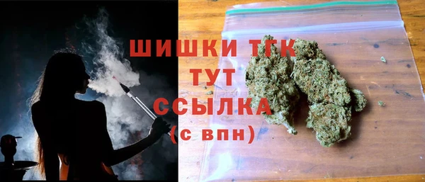 твердый Туринск