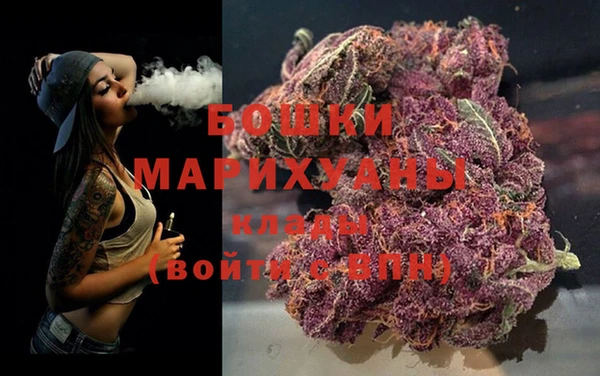 крисы Дмитриев