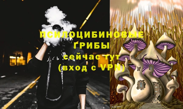 крисы Дмитриев