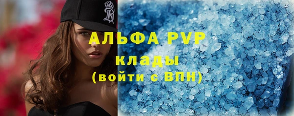 крисы Дмитриев