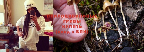 крисы Дмитриев