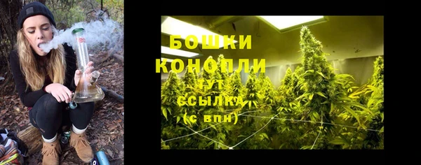 крисы Дмитриев