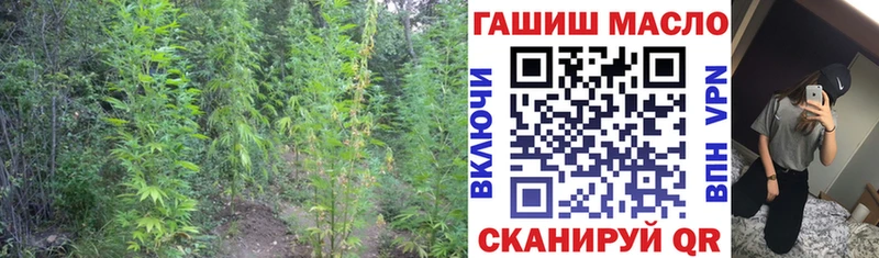 ТГК гашишное масло  где продают наркотики  Невель 